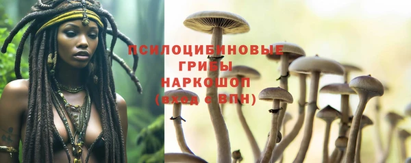 МДПВ Богданович