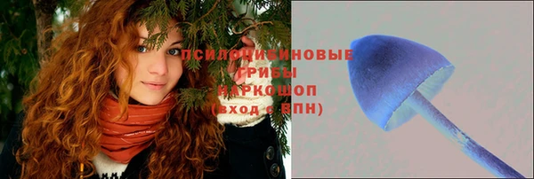 мдпв Богородицк
