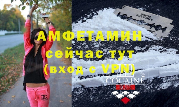 мдпв Богородицк