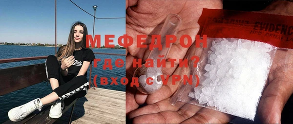 мдпв Богородицк